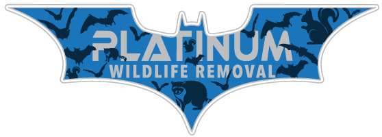 Bay City Pro Wildlife Control